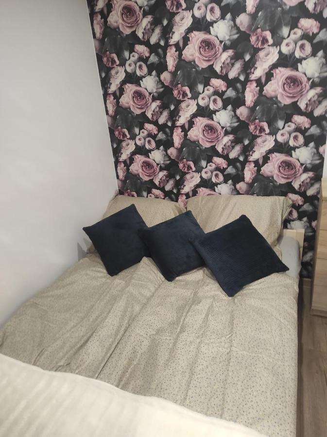 Appartamento Walbrzych Pilsuckiego News Apartament Esterno foto